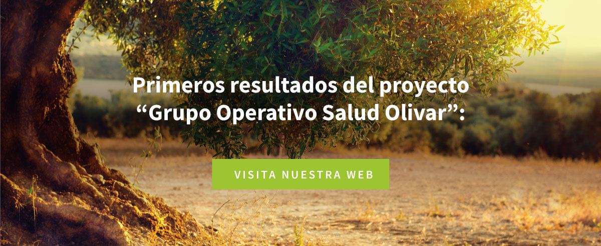 Primeros resultados del proyecto - Grupo Operativo Salud Olivar - Visita nuestra web.