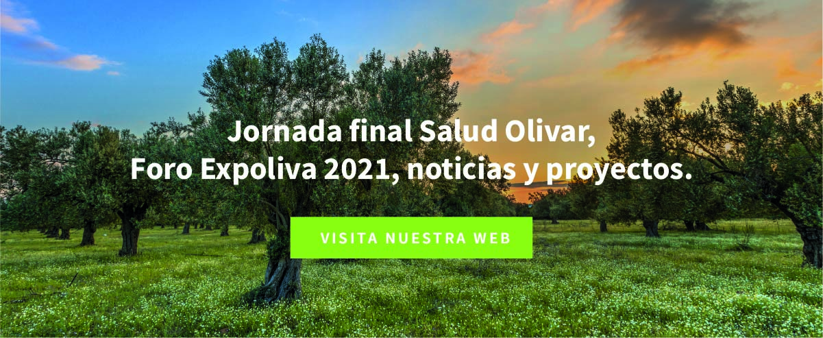 Evento final Salud Olivar, Foro Expoliva 2021, noticias y proyectos.