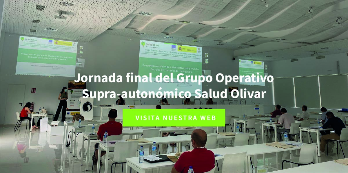Jornada final del Grupo Operativo Supra-autonómico Salud Olivar